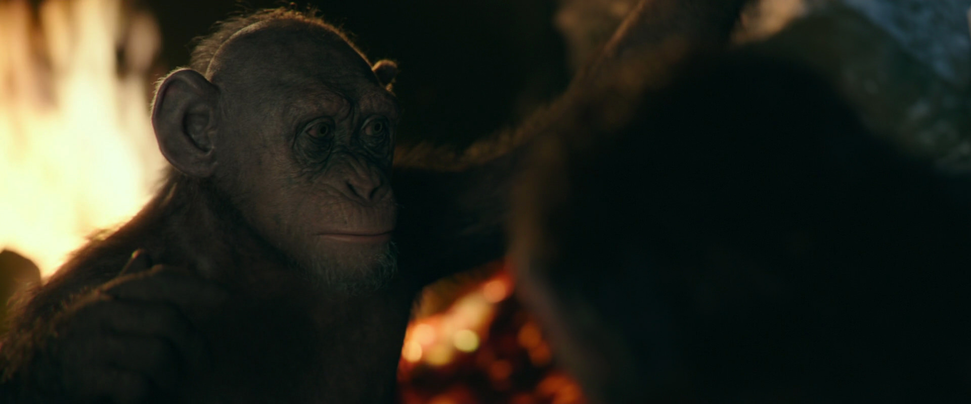 War for the Planet of the Apes (2017) HD screenshot 5801