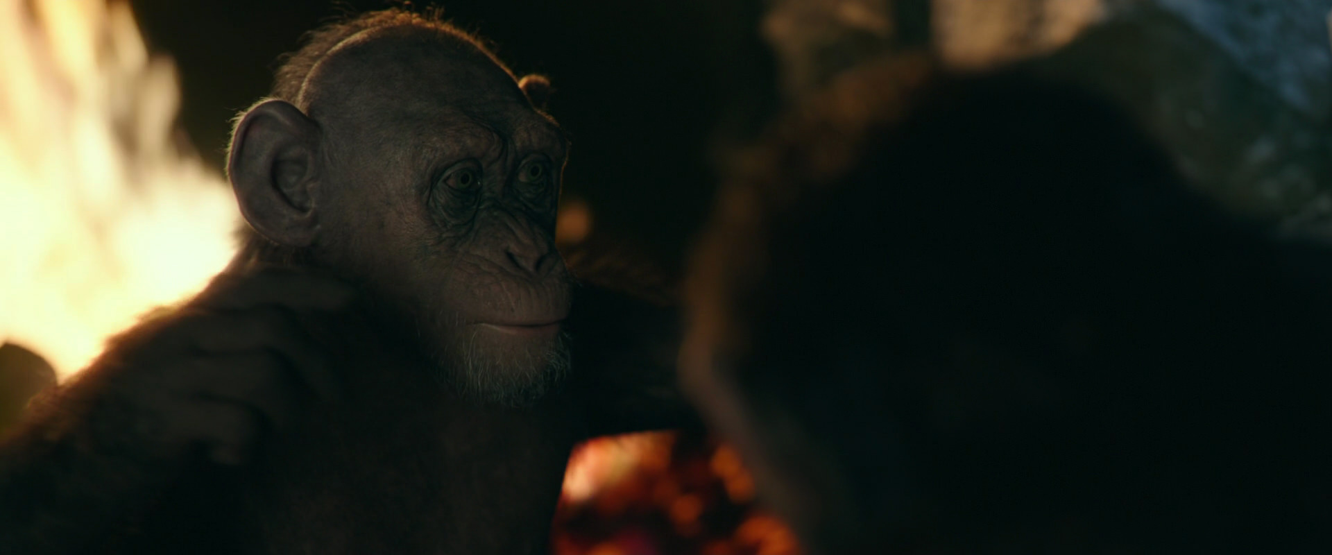 War for the Planet of the Apes (2017) screencap 5802