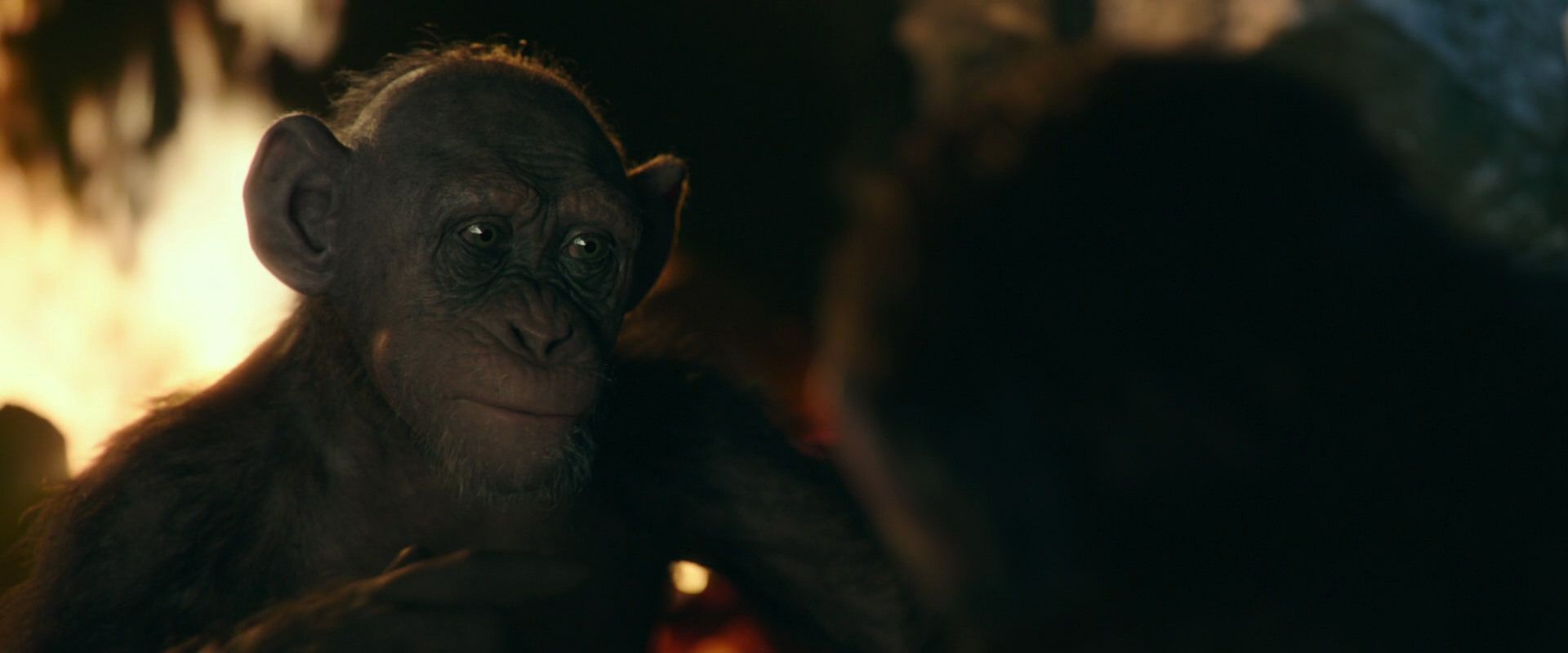 War for the Planet of the Apes (2017) screencap 5805