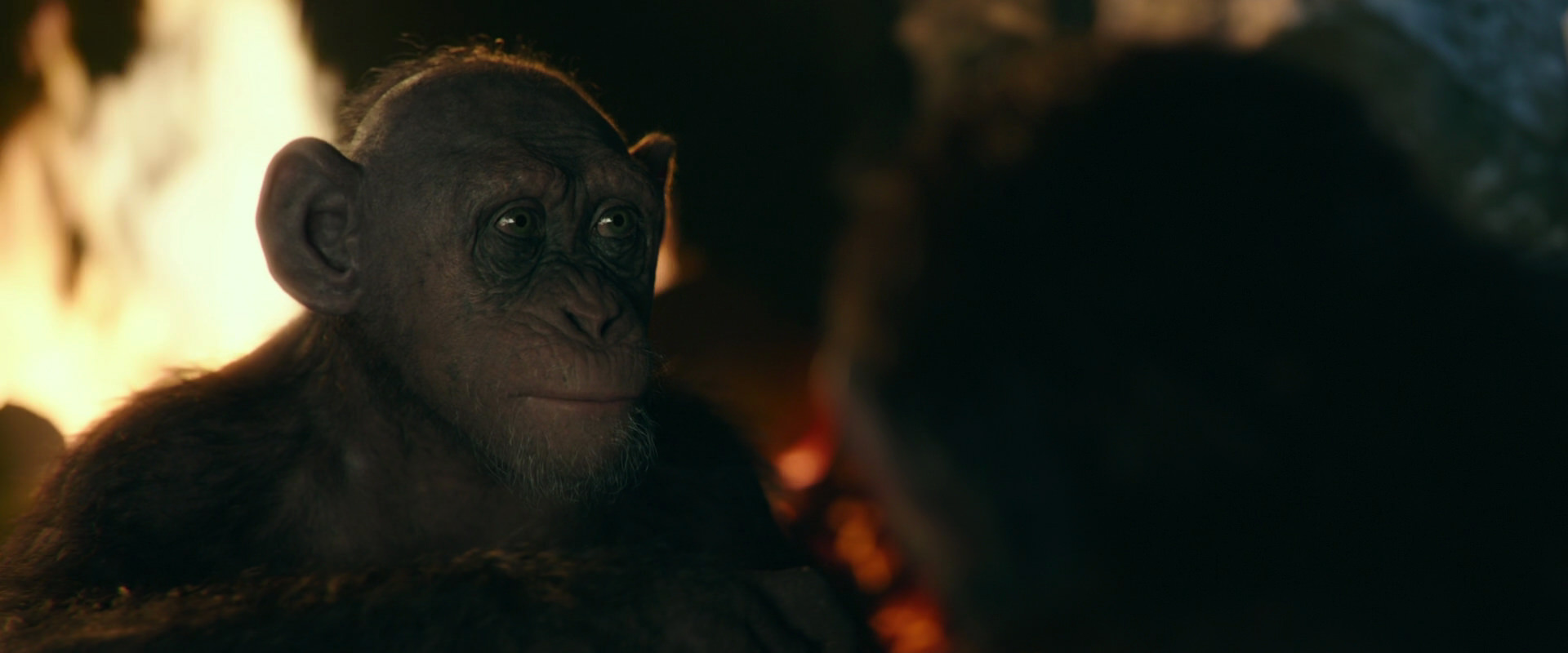 War for the Planet of the Apes (2017) movie still 5806