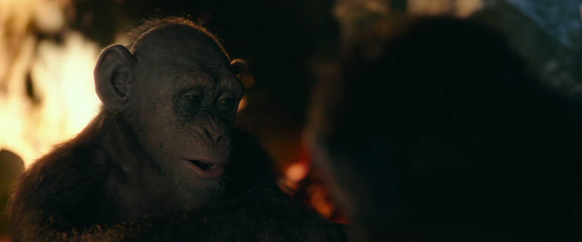 War for the Planet of the Apes (2017) movie still 5809
