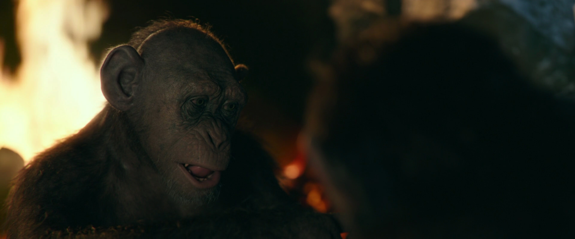 War for the Planet of the Apes (2017) screencap 5811