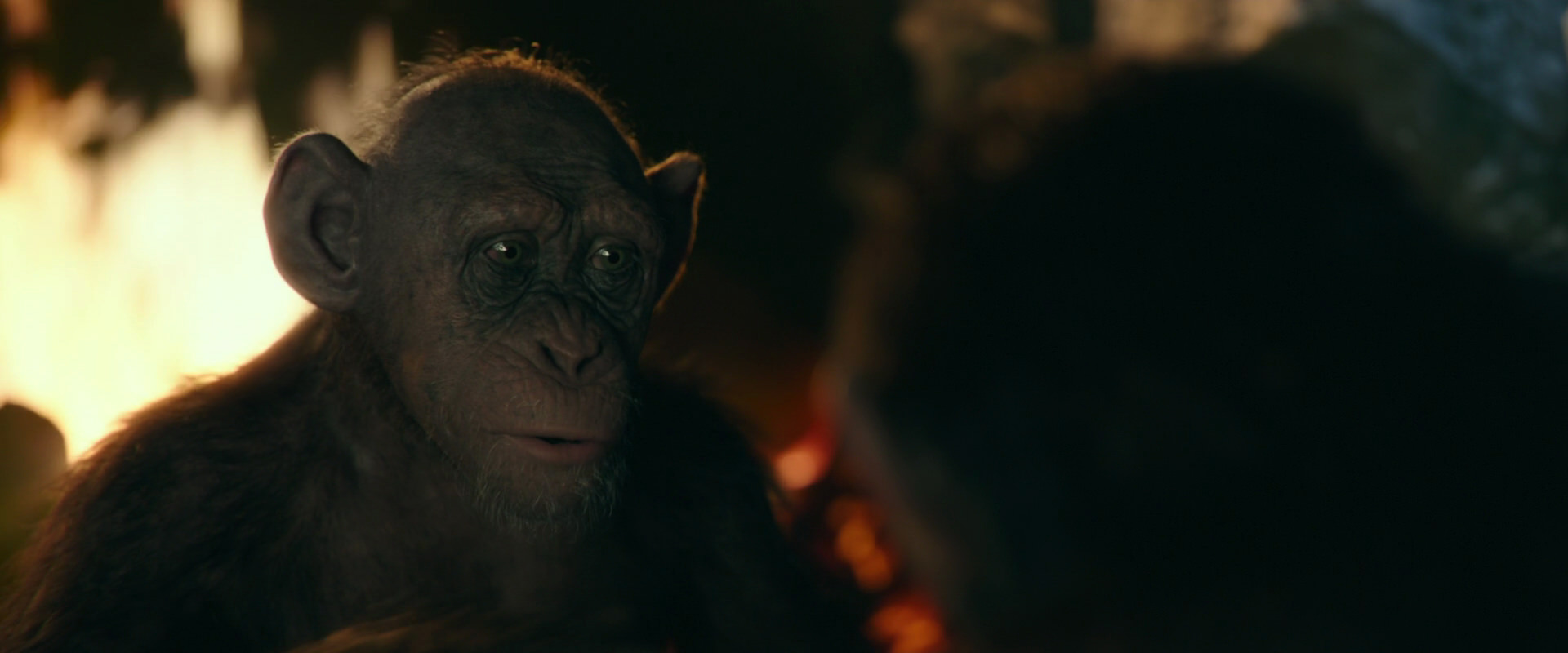 War for the Planet of the Apes (2017) movie still 5812