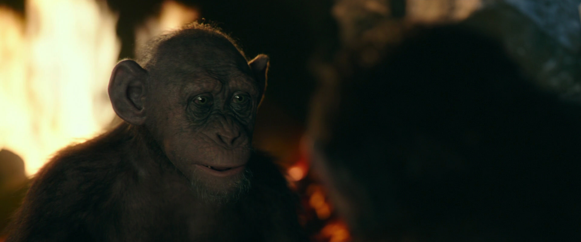War for the Planet of the Apes (2017) screencap 5814