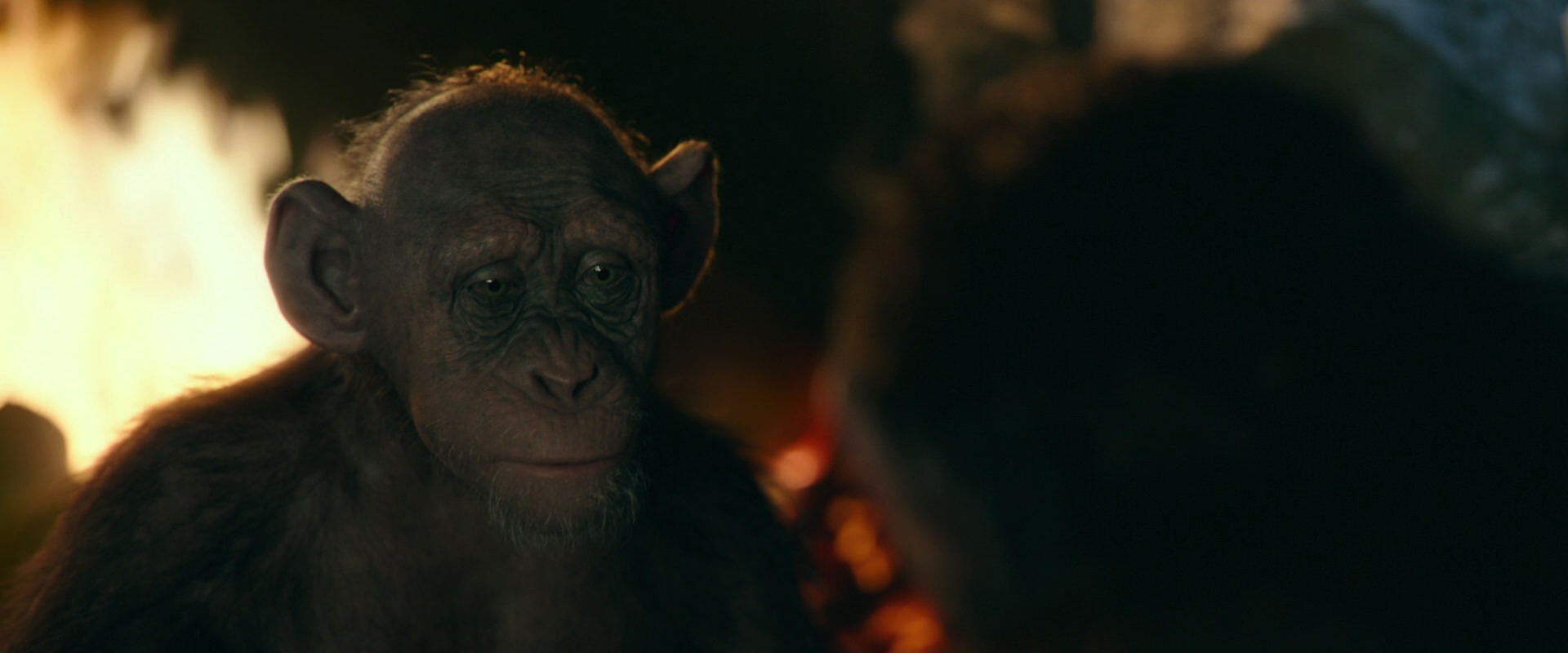 War for the Planet of the Apes (2017) movie still 5815
