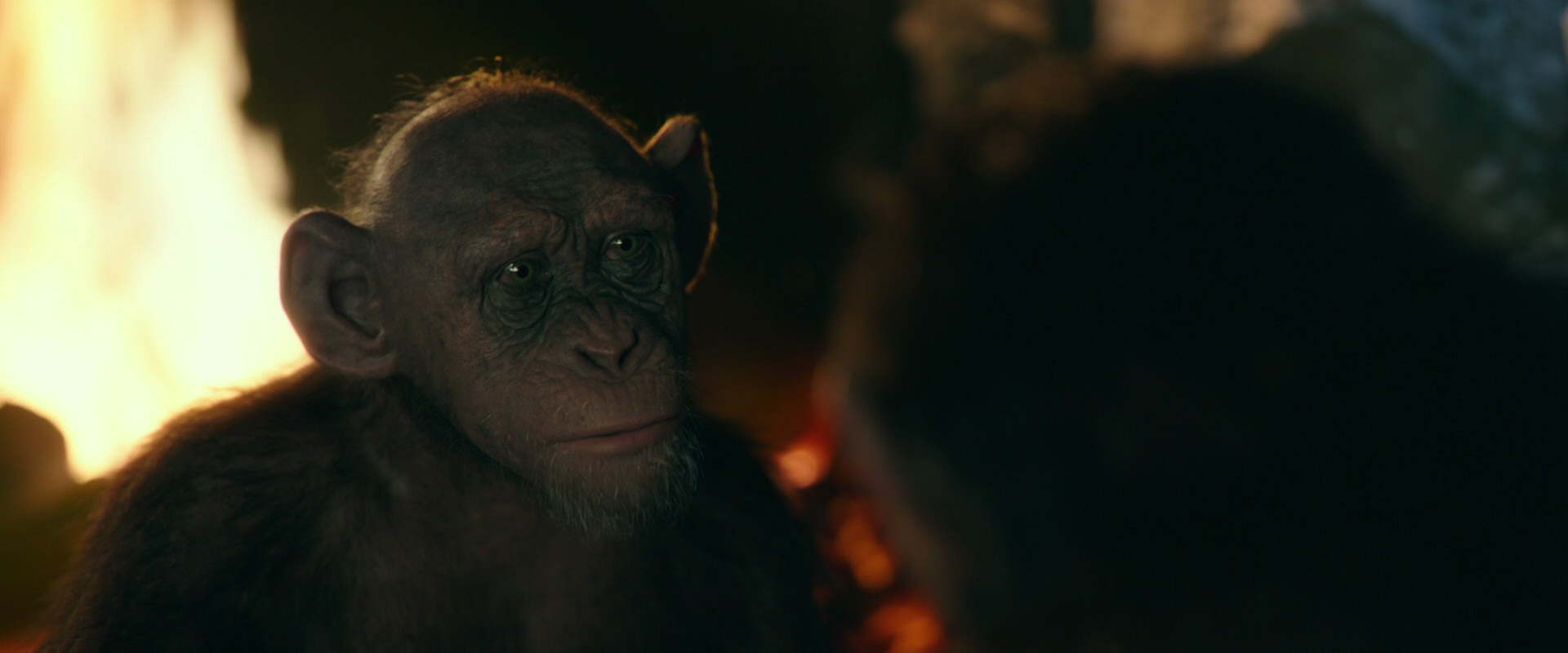 War for the Planet of the Apes (2017) movie still 5818
