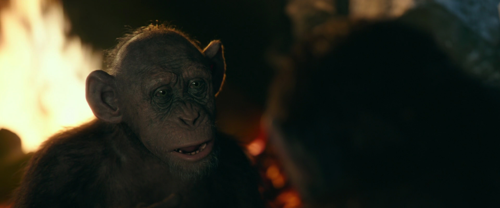 War for the Planet of the Apes (2017) screencap 5820