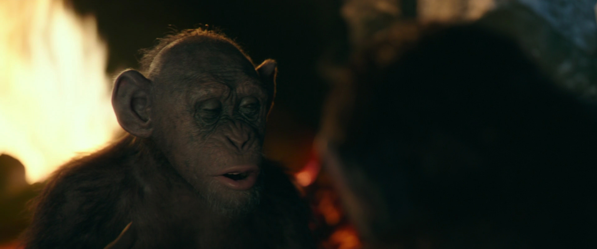 War for the Planet of the Apes (2017) movie still 5821