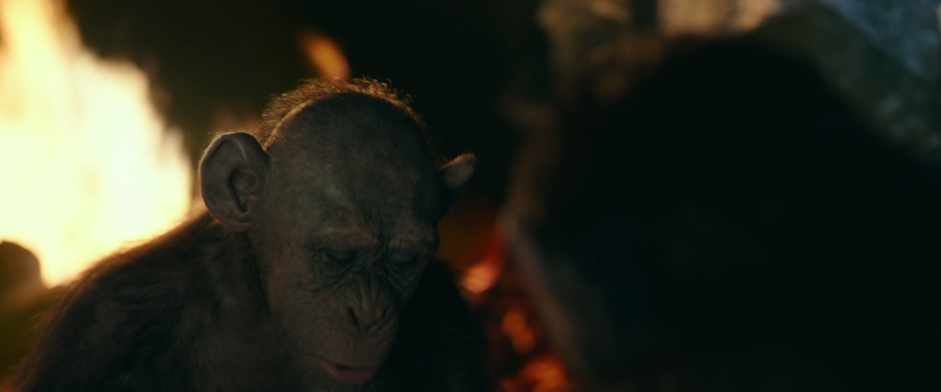 War for the Planet of the Apes (2017) screencap 5823