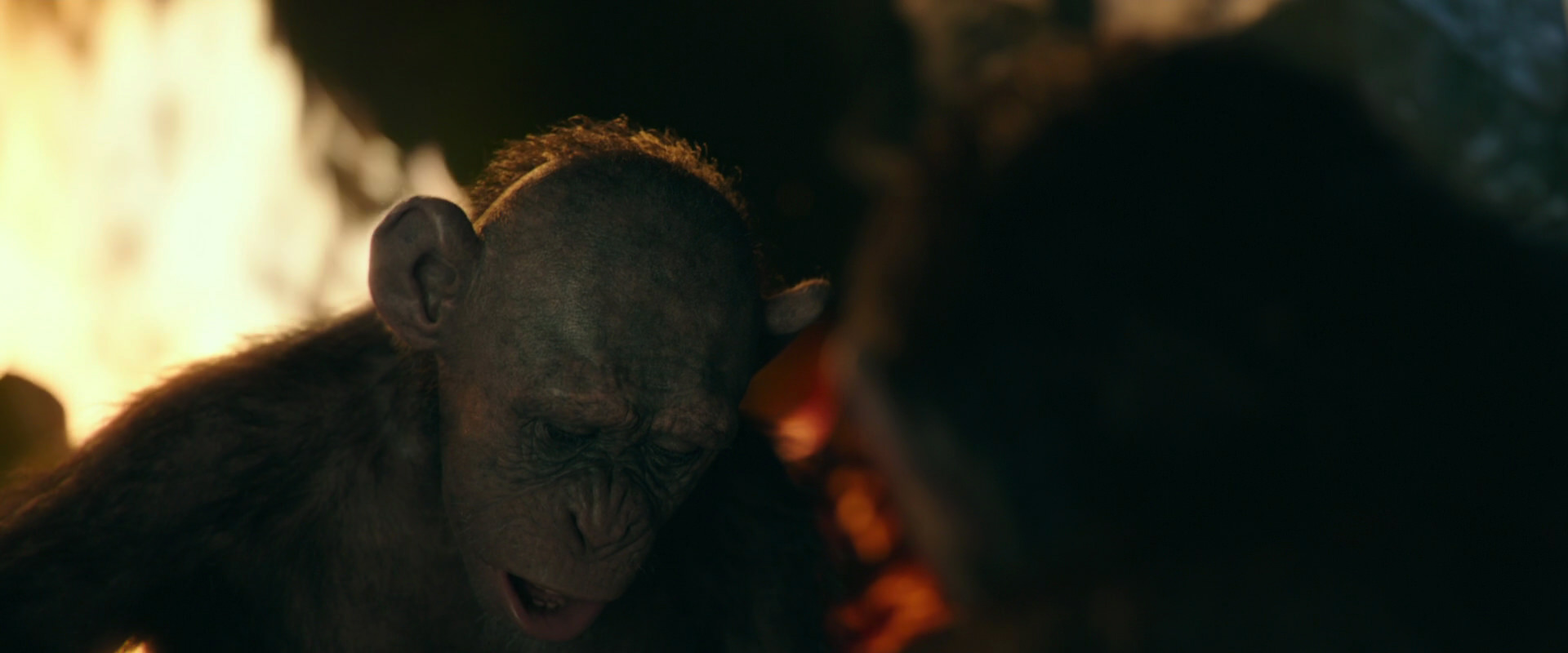 War for the Planet of the Apes (2017) movie still 5824