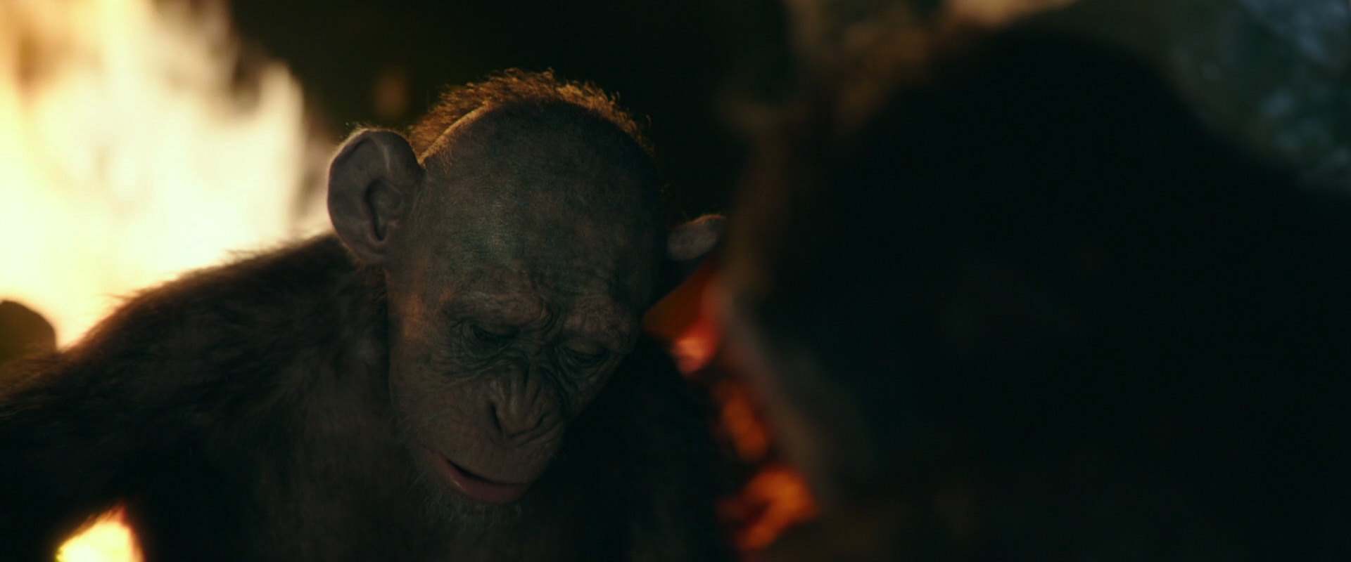 War for the Planet of the Apes (2017) HD screenshot 5825