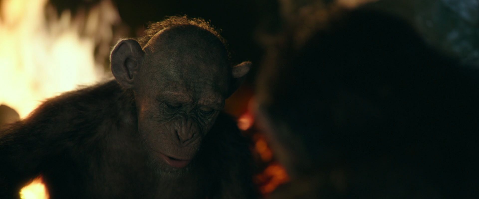 War for the Planet of the Apes (2017) screencap 5826