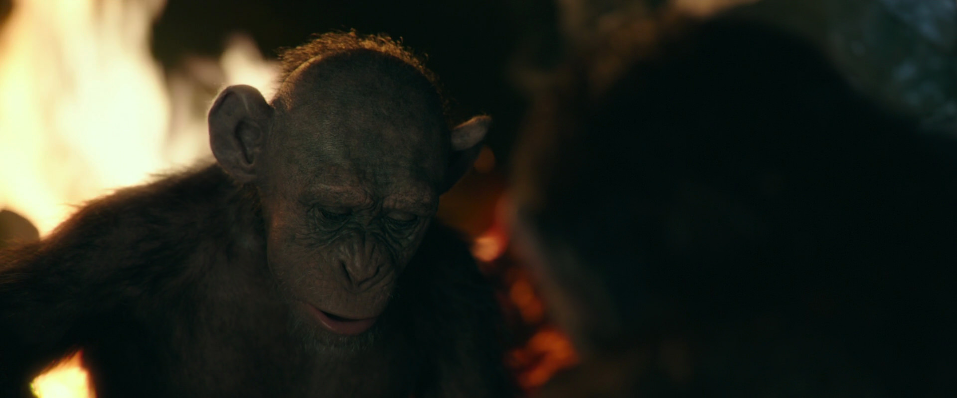 War for the Planet of the Apes (2017) movie still 5827