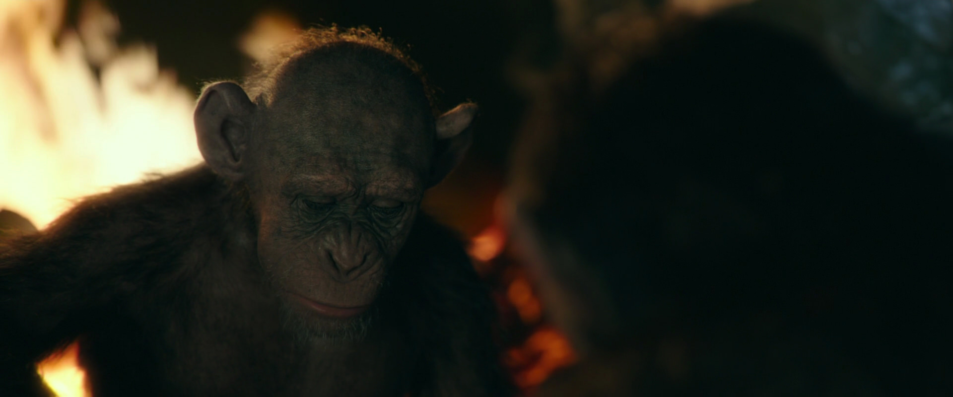 War for the Planet of the Apes (2017) HD screenshot 5828
