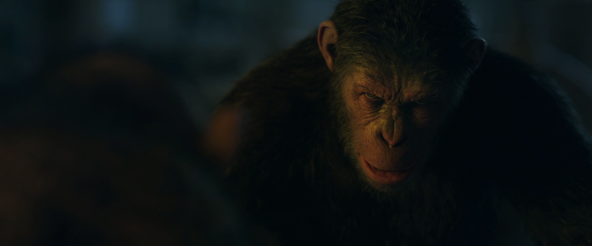 War for the Planet of the Apes (2017) screencap 5829