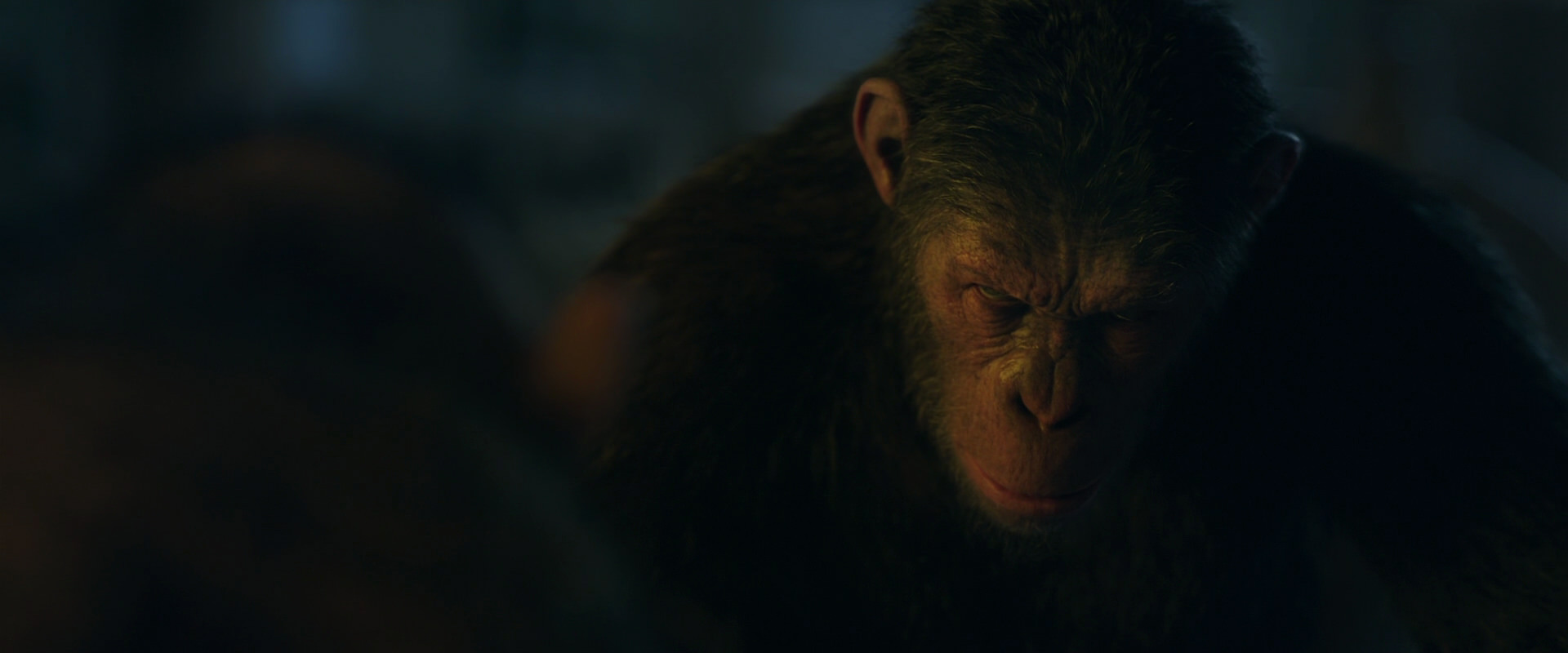War for the Planet of the Apes (2017) movie still 5830