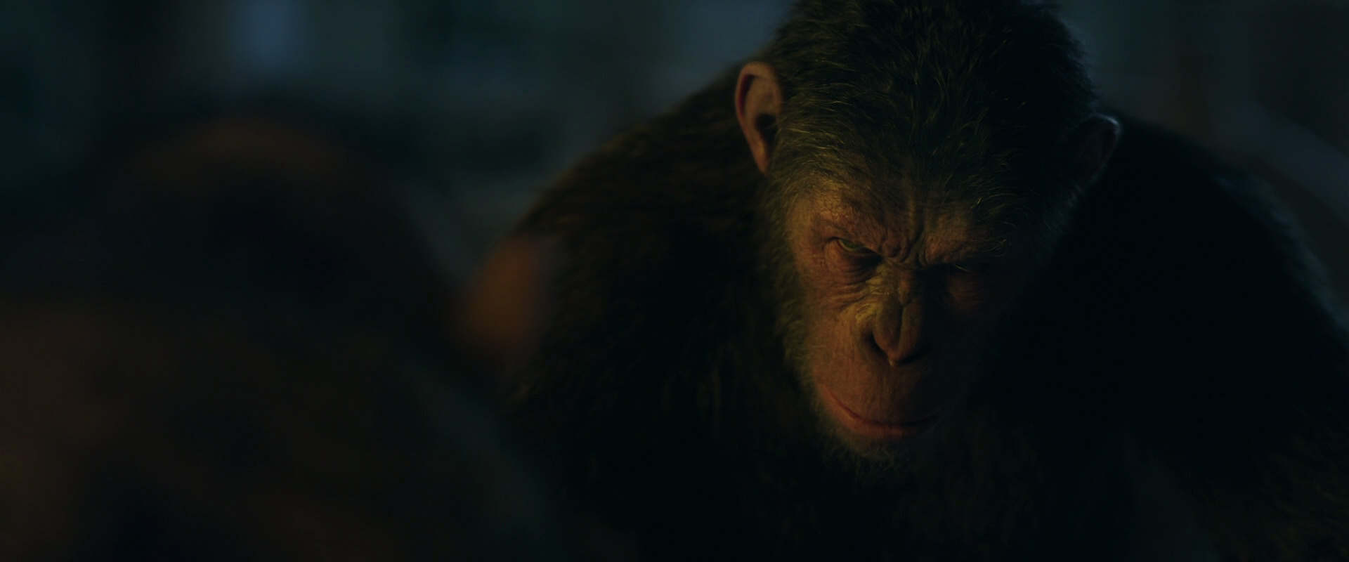 War for the Planet of the Apes (2017) HD screenshot 5831