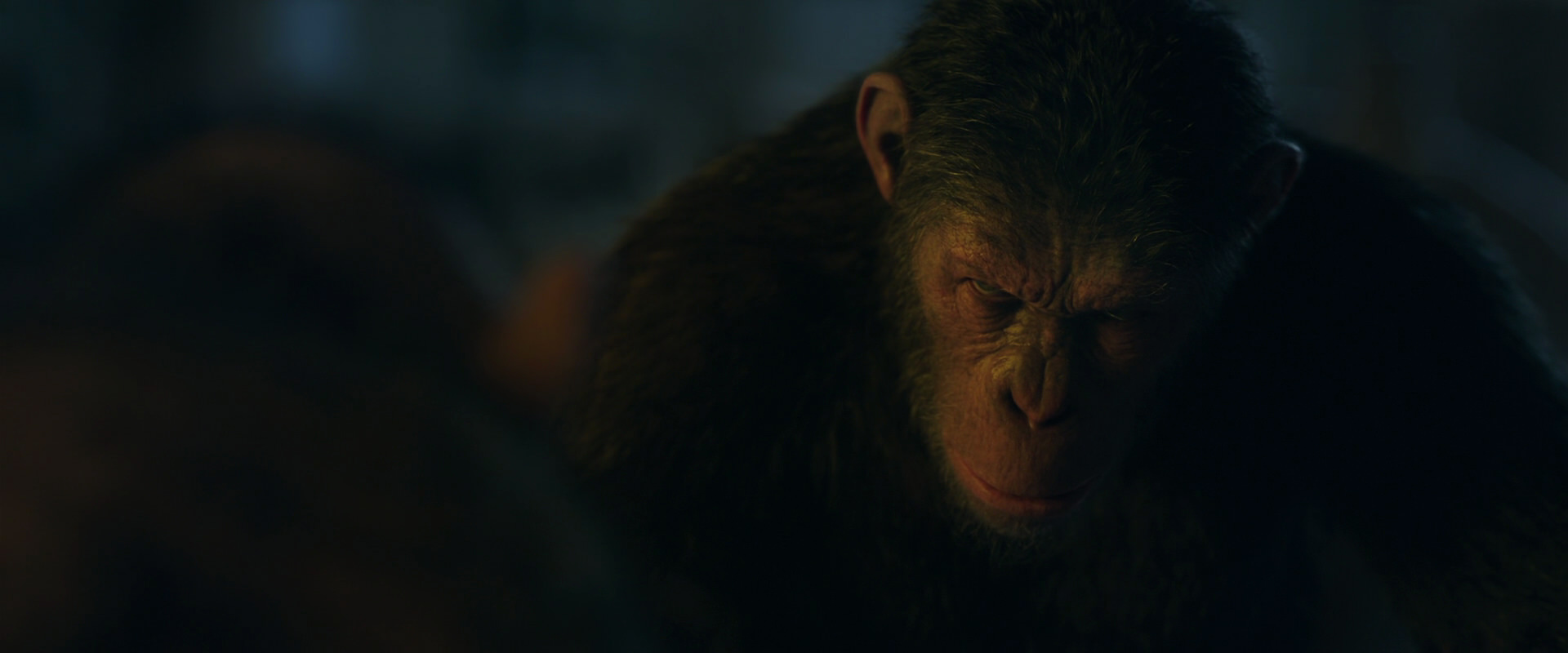 War for the Planet of the Apes (2017) screencap 5832