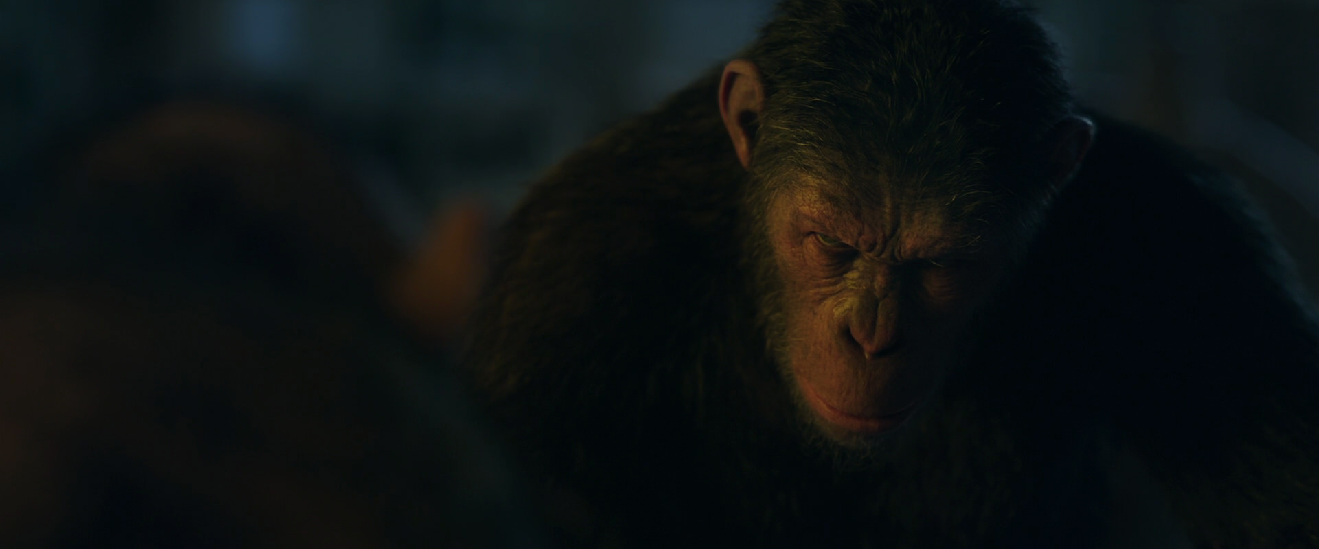 War for the Planet of the Apes (2017) movie still 5833
