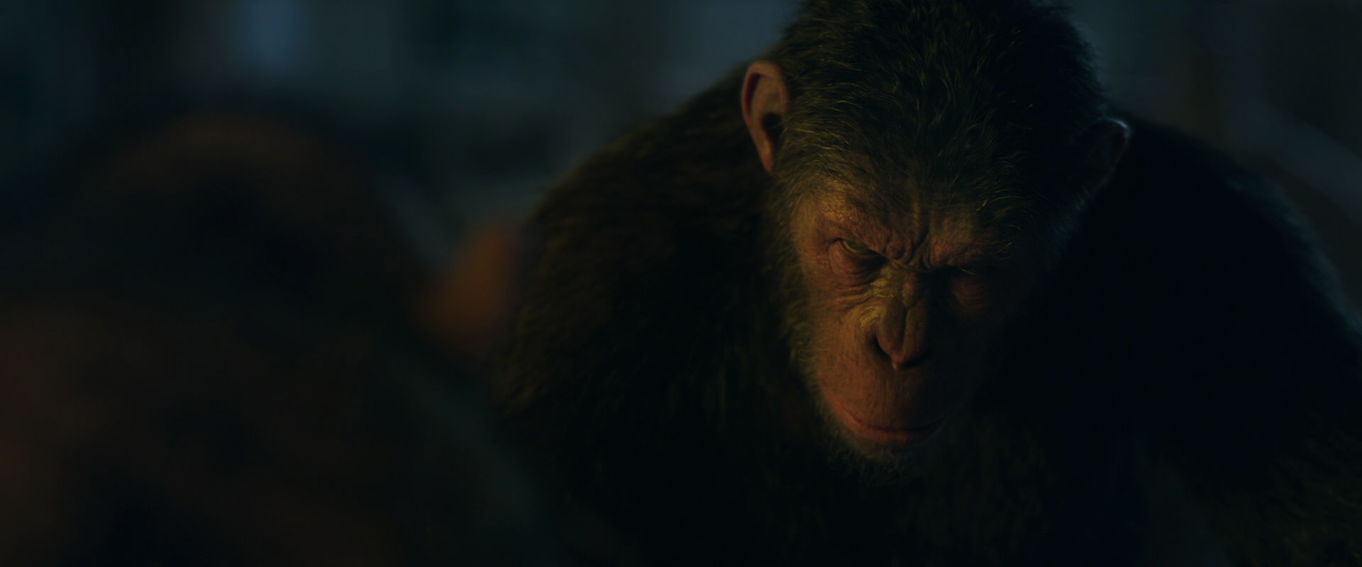 War for the Planet of the Apes (2017) HD screenshot 5834