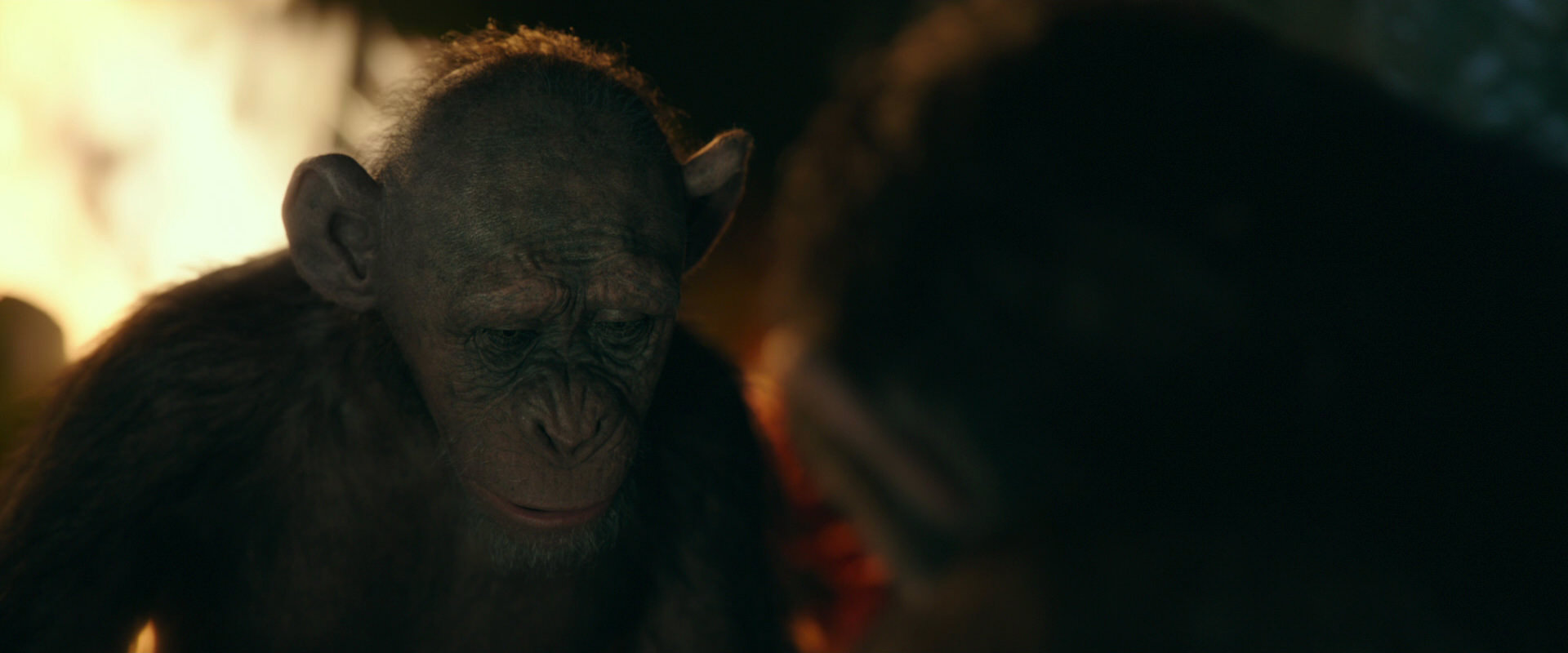 War for the Planet of the Apes (2017) screencap 5835