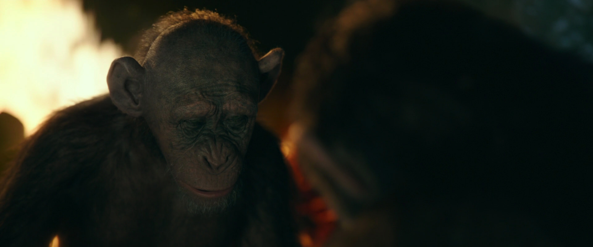War for the Planet of the Apes (2017) movie still 5836