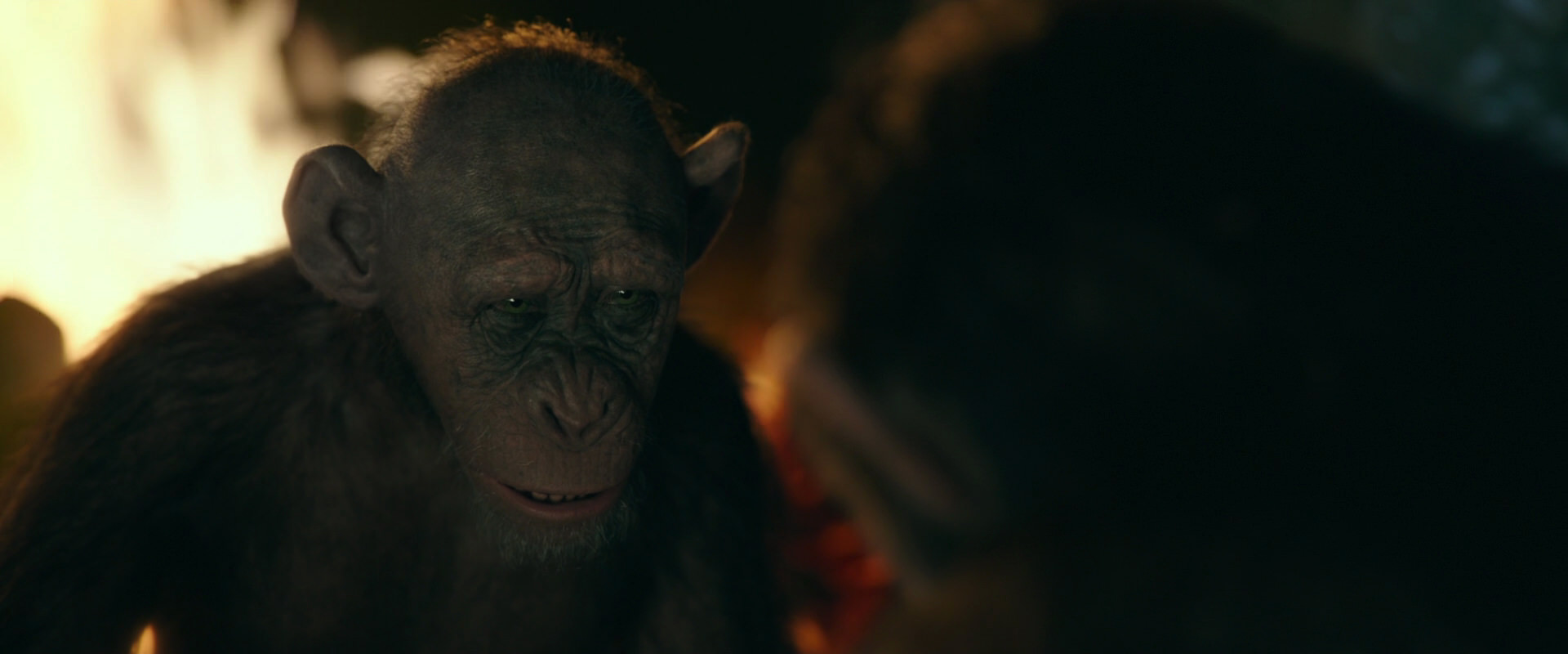 War for the Planet of the Apes (2017) HD screenshot 5837
