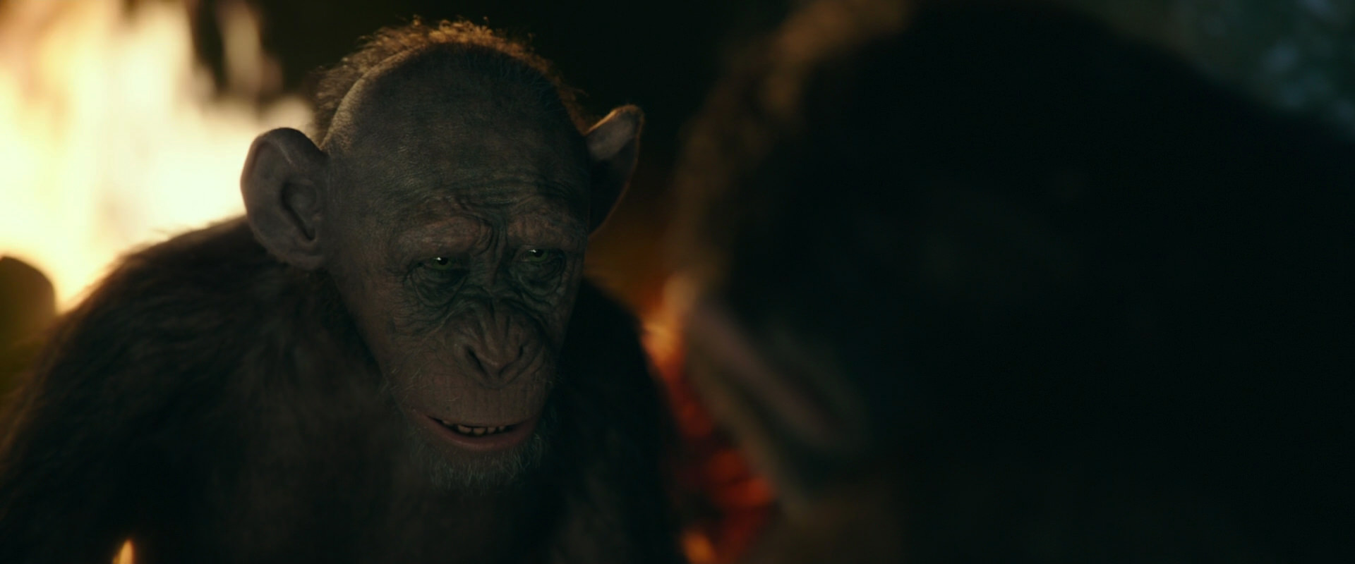 War for the Planet of the Apes (2017) screencap 5838