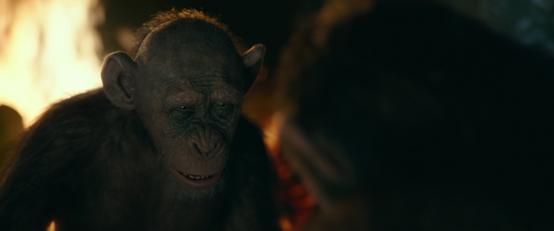 War for the Planet of the Apes (2017) movie still 5839