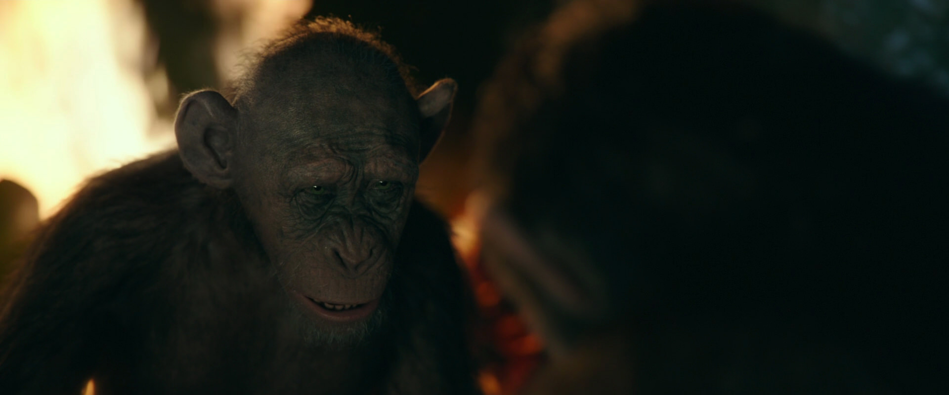 War for the Planet of the Apes (2017) screencap 5841