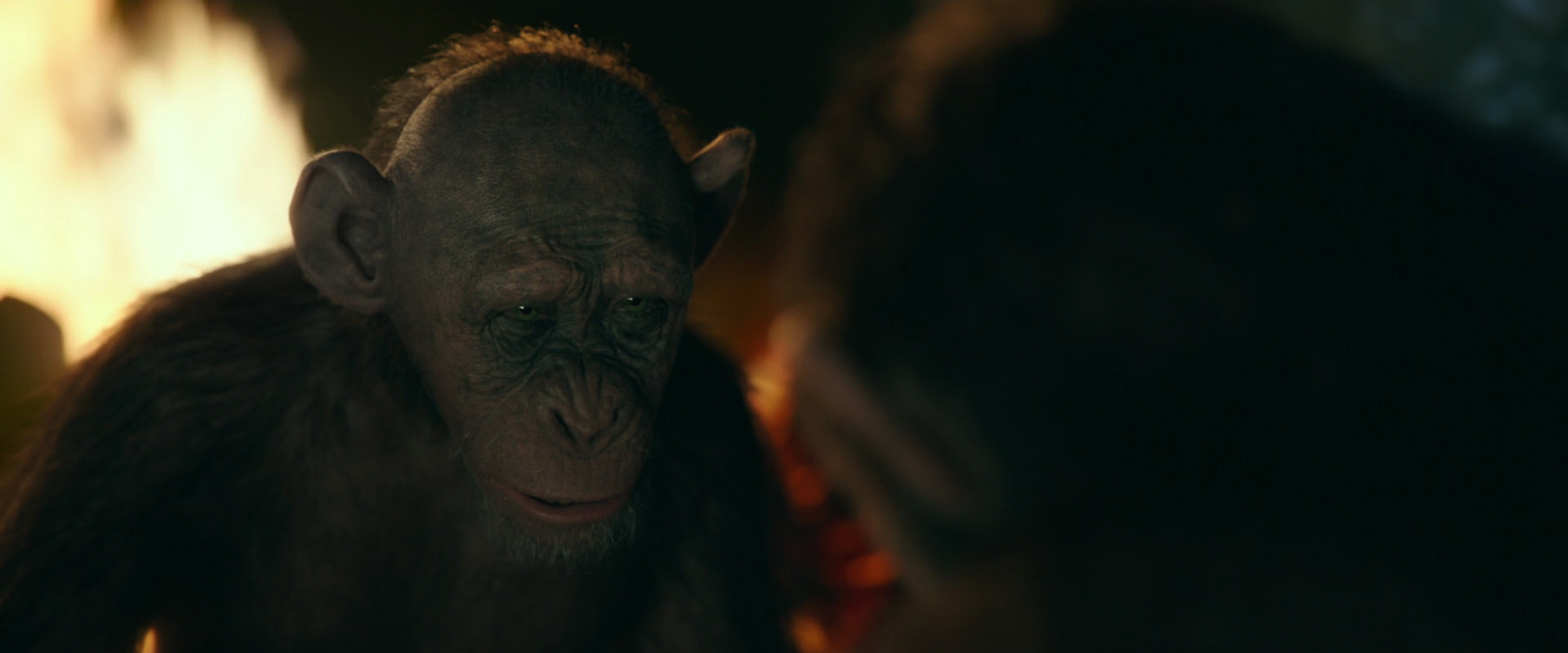 War for the Planet of the Apes (2017) movie still 5842