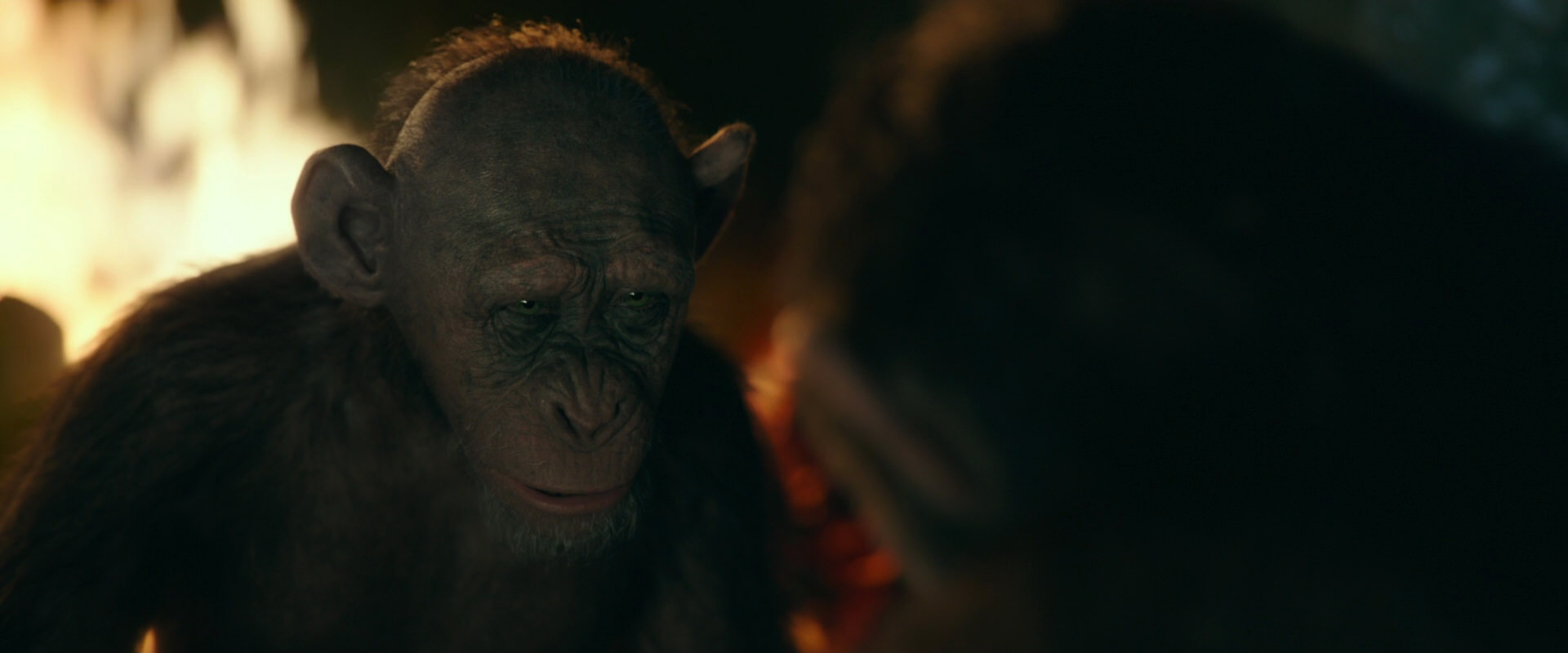 War for the Planet of the Apes (2017) HD screenshot 5843