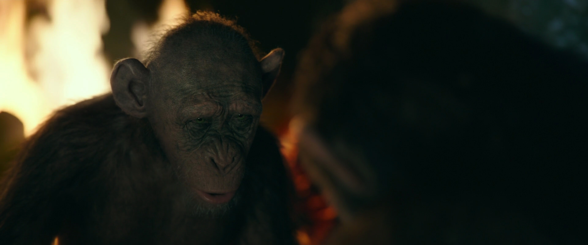 War for the Planet of the Apes (2017) screencap 5844