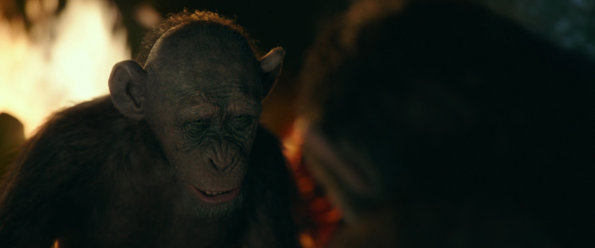 War for the Planet of the Apes (2017) movie still 5845