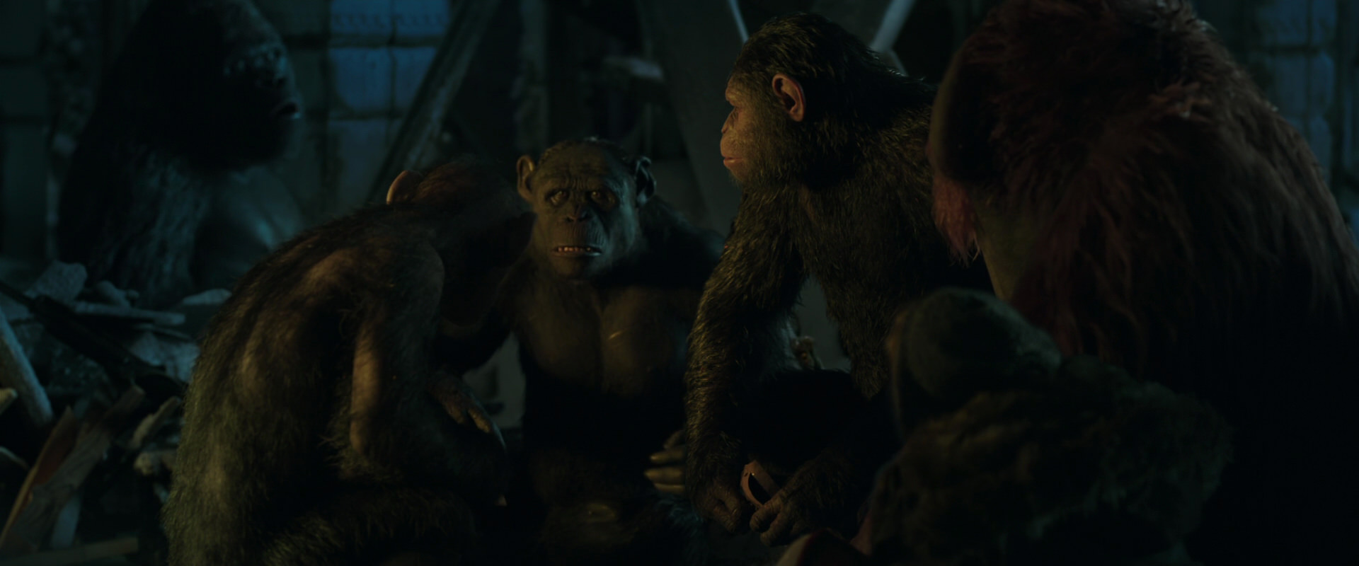 War for the Planet of the Apes (2017) movie still 5857
