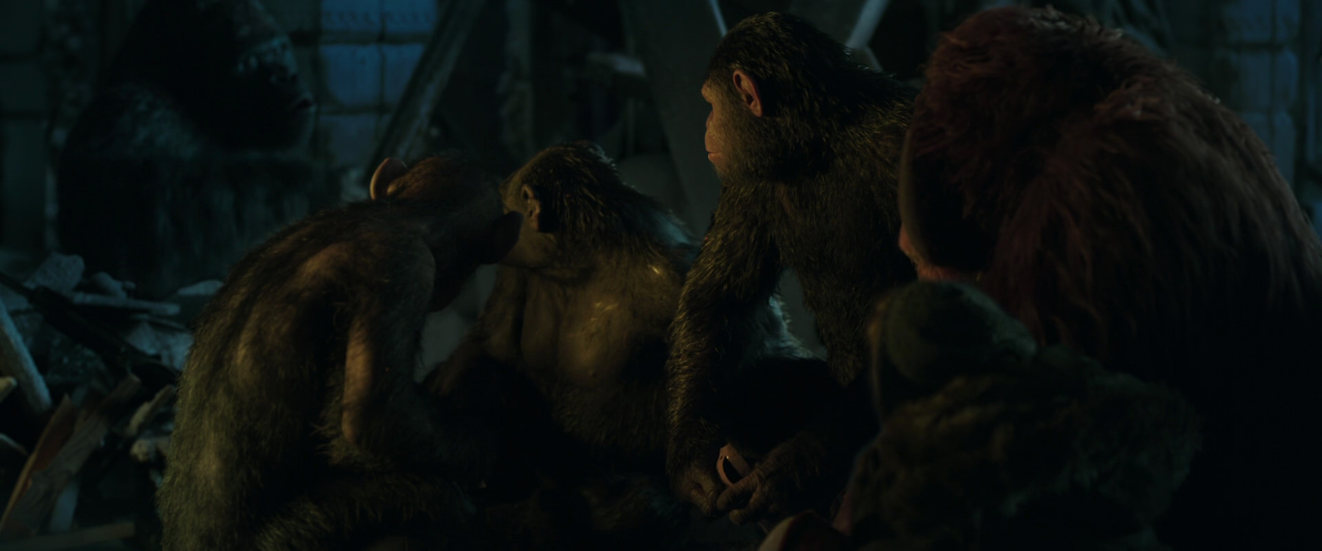War for the Planet of the Apes (2017) movie still 5860