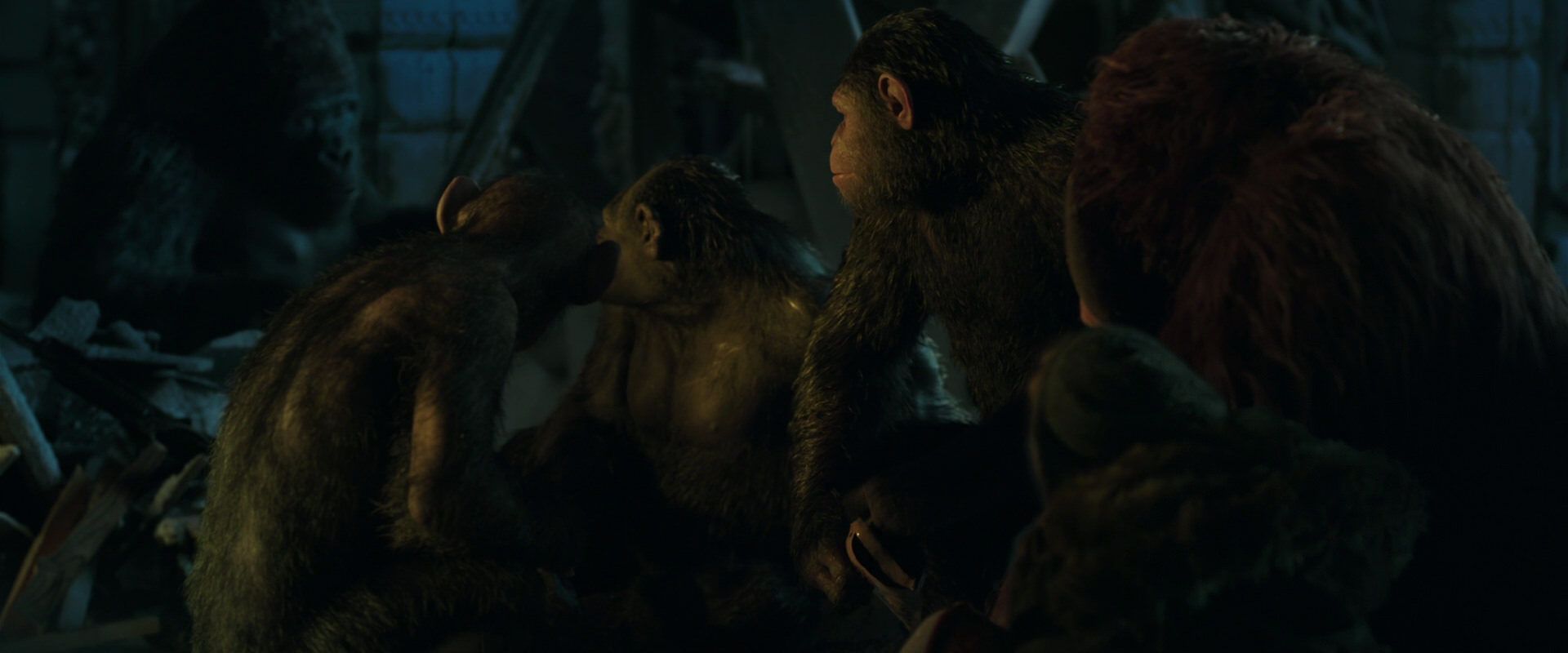War for the Planet of the Apes (2017) screencap 5862