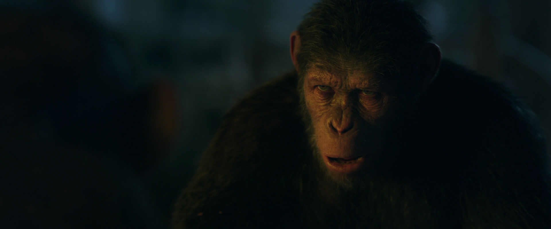 War for the Planet of the Apes (2017) screencap 5868
