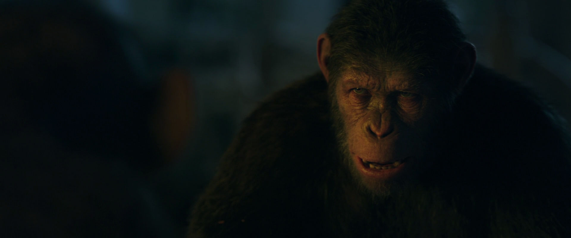 War for the Planet of the Apes (2017) movie still 5869
