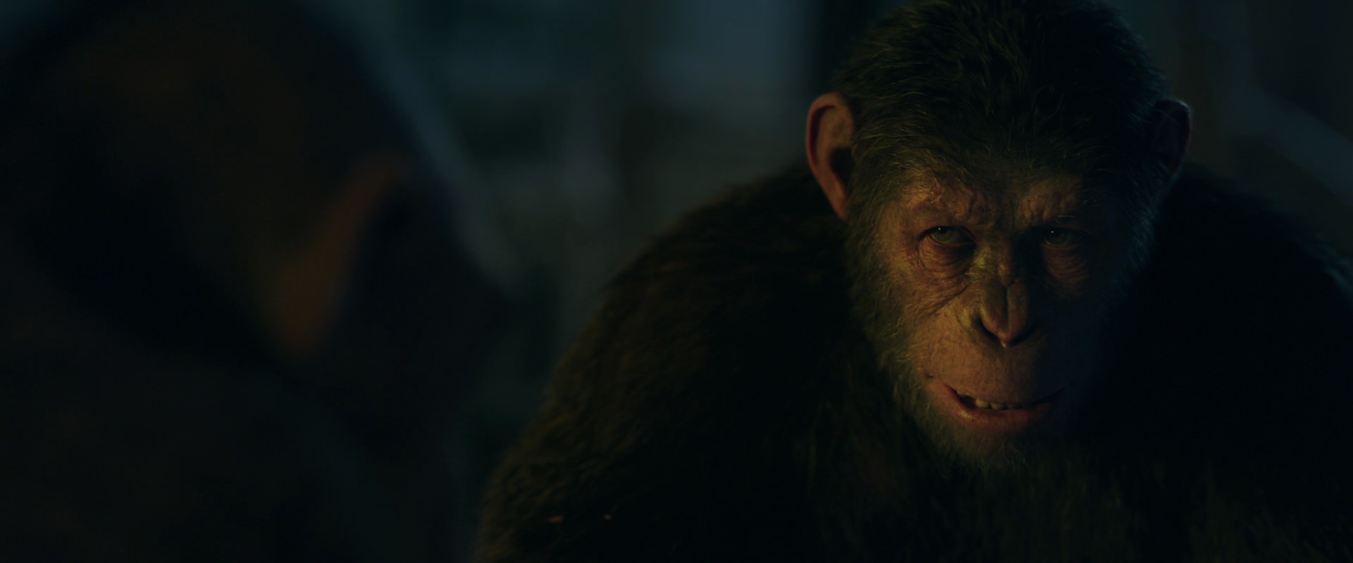 War for the Planet of the Apes (2017) screencap 5871