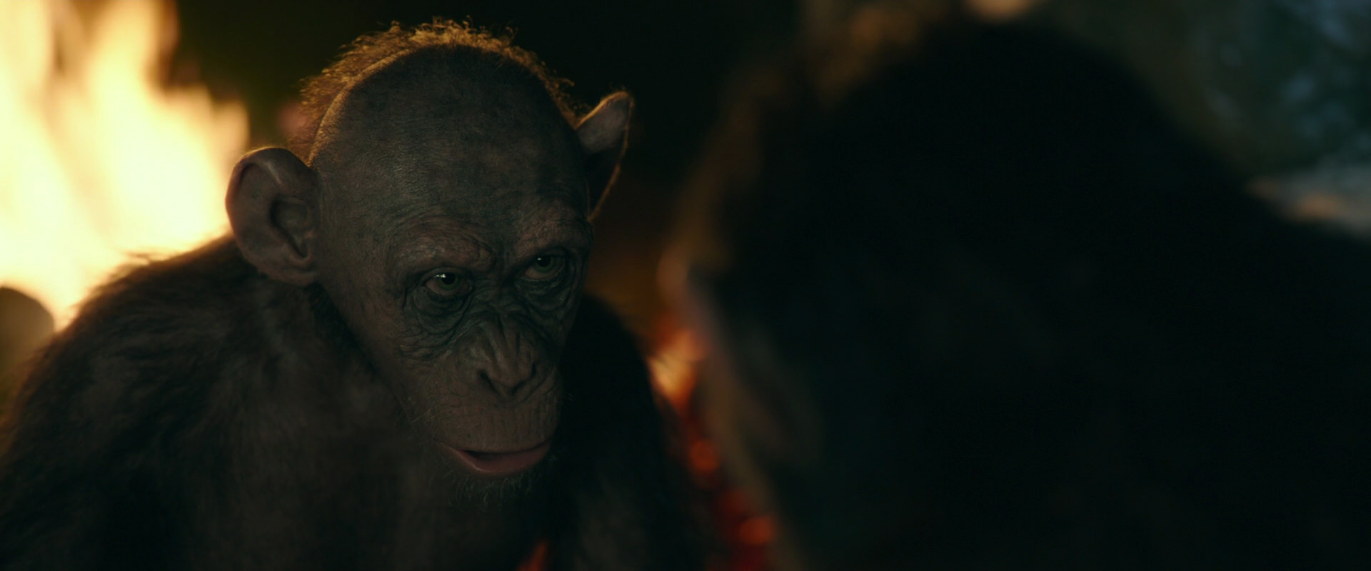 War for the Planet of the Apes (2017) movie still 5872