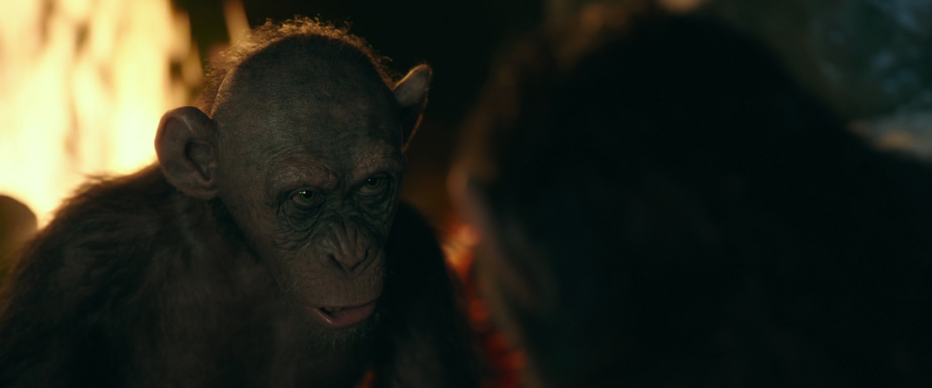 War for the Planet of the Apes (2017) screencap 5874