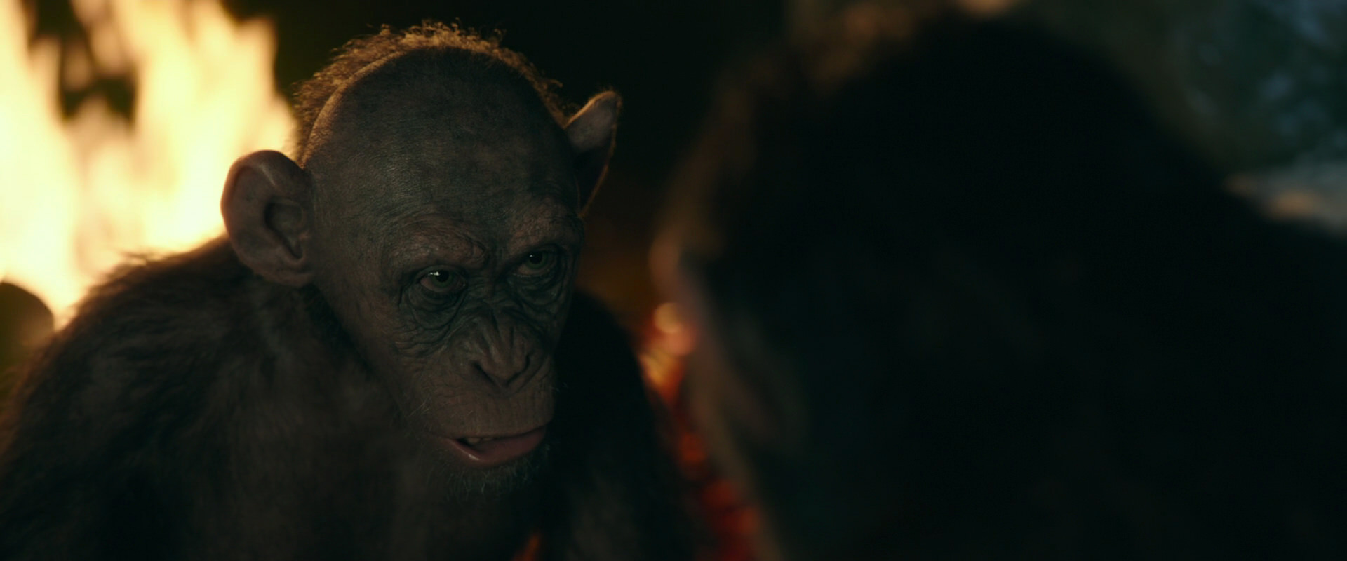 War for the Planet of the Apes (2017) movie still 5875
