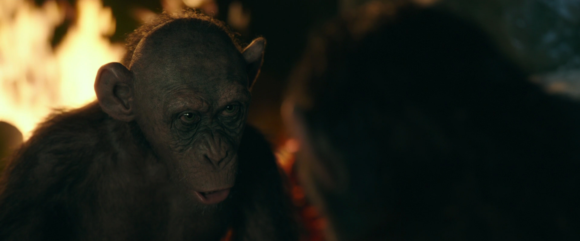 War for the Planet of the Apes (2017) HD screenshot 5876