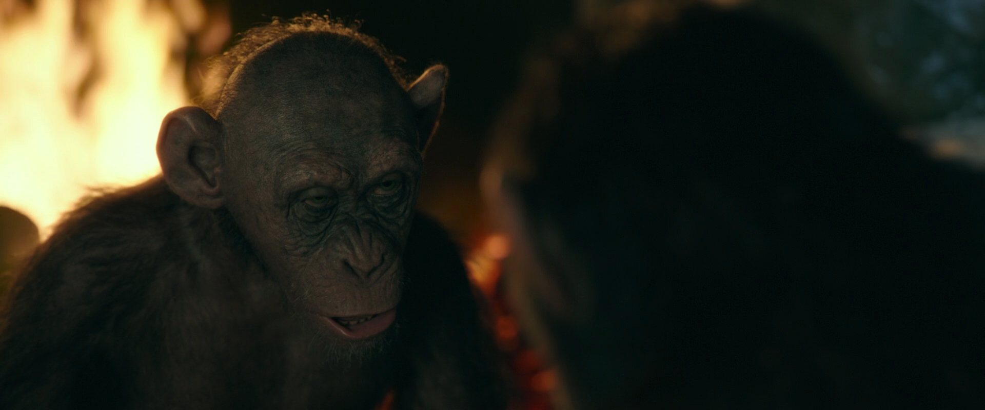 War for the Planet of the Apes (2017) screencap 5877