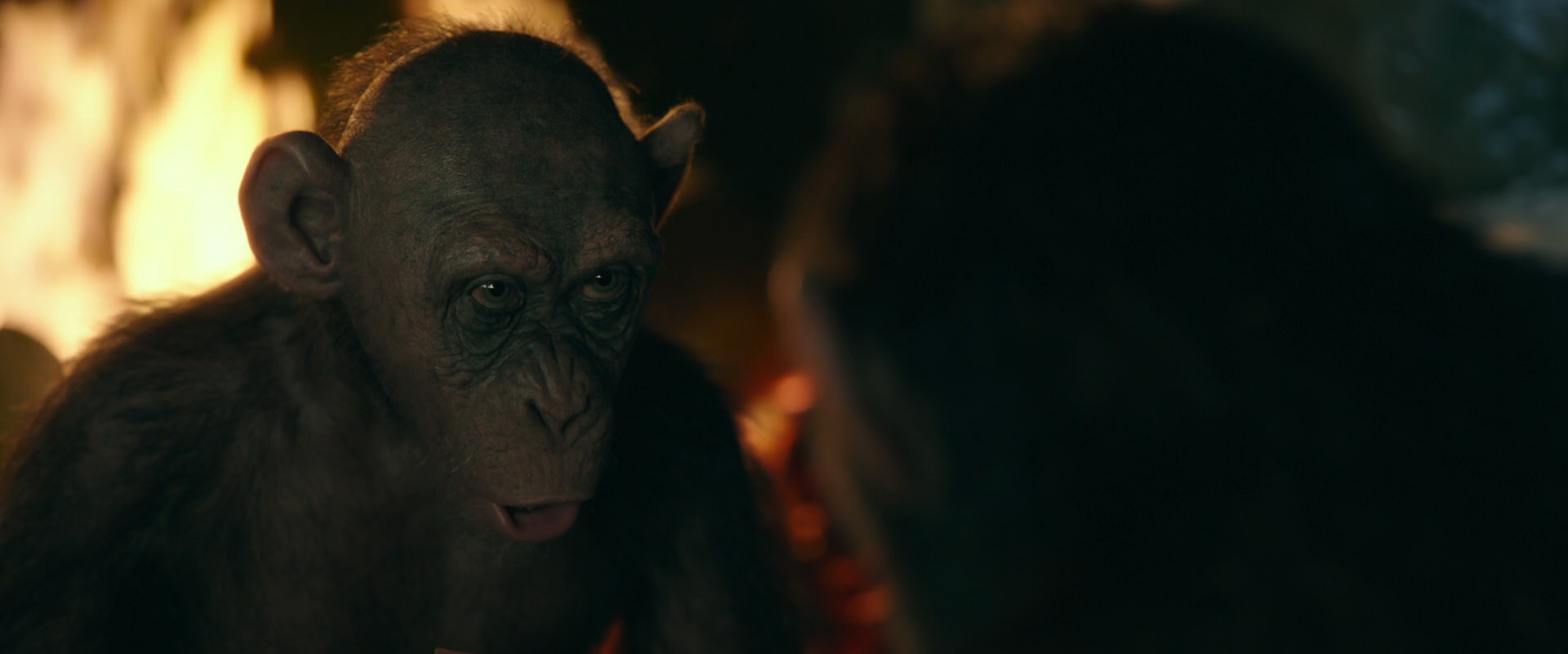 War for the Planet of the Apes (2017) movie still 5878