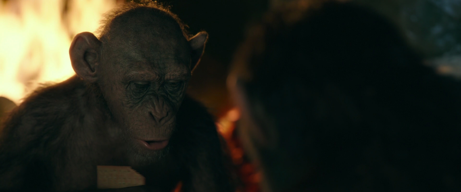War for the Planet of the Apes (2017) HD screenshot 5879