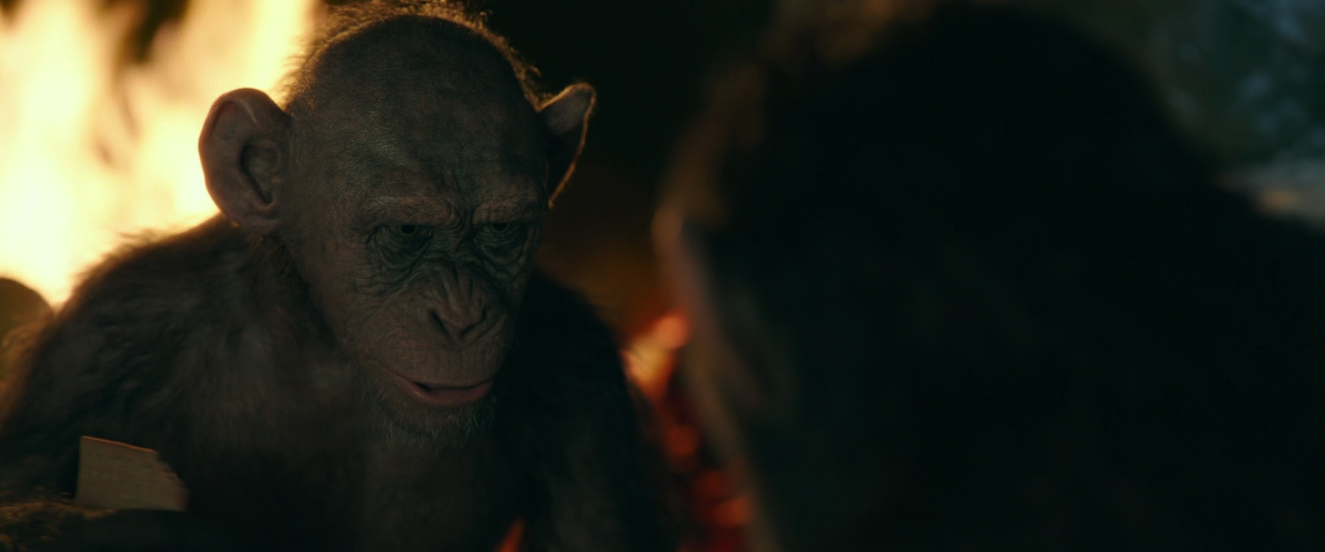War for the Planet of the Apes (2017) screencap 5880