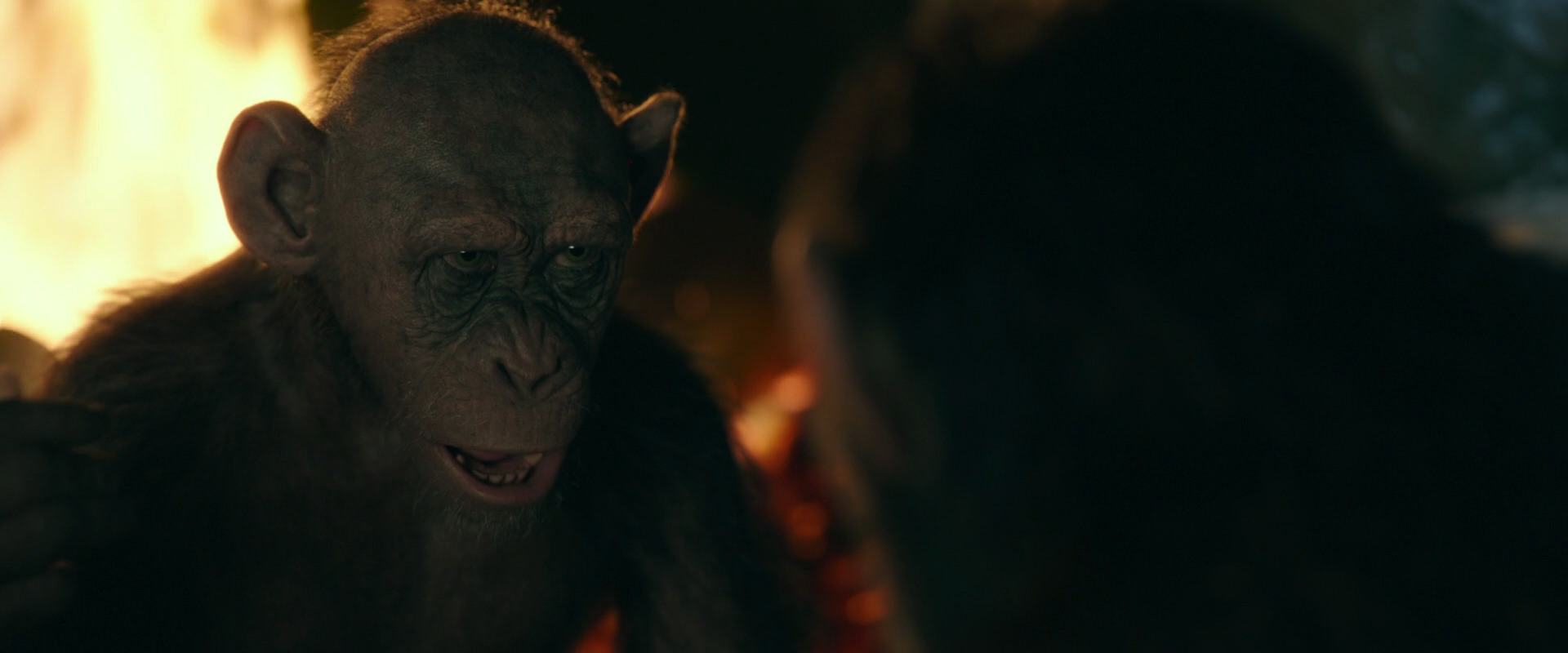 War for the Planet of the Apes (2017) movie still 5881