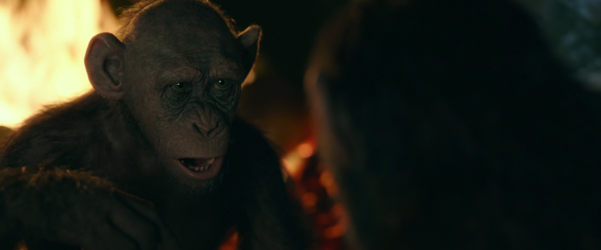 War for the Planet of the Apes (2017) screencap 5883
